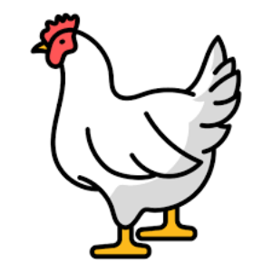 The picture of Antibiotic Free Chicken